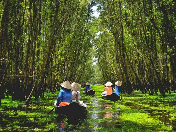 Mekong Delta Discovery